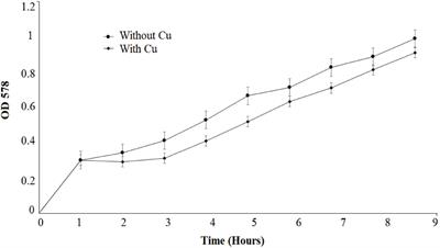 Harnessing the Potential of Bacillus altitudinis MT422188 for Copper Bioremediation